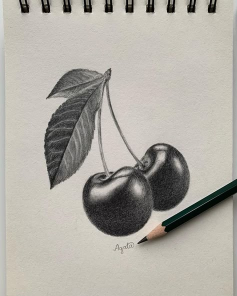 Let's step into the vibrant realm of cherry illustration! Our guide offers excting tips and insights to elevate your cherry art to the next level. Cherry Pencil Drawing, Natural Form Drawing, Cherry Drawing Pencil, Cherries Sketch, Cherry Art Drawing, Cherries Drawing, Uwu Drawing, Shaded Art, White Charcoal Drawing