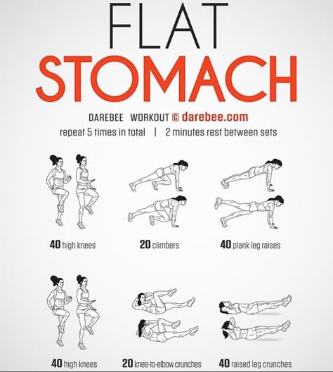 Abb Workout, Abb Workouts, Flat Stomach Workout, Workout For Flat Stomach, Home Workout Plan, Quick Workout Routine, Workout Stuff, Body Workout Plan, Workout Plan Gym