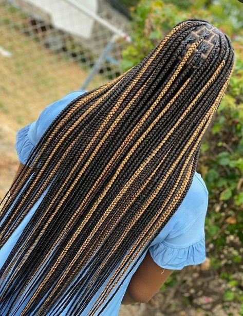 Trending Hair Styles 2022 Braids, Peak A Boo Braids Brown, Braids 2023 Trends, Braided Hair Colors, 2023 Braid Hair Trends For Black Women, Trending Braids 2023, Two Color Braids, Brown Peekaboo Braids, New Trending Braids Hairstyles