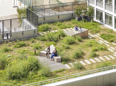 Roof Garden Architecture, Rooftop Garden Urban, Terrace Landscape, Green Roof Design, Roof Landscape, Green Roof Garden, Roof Terrace Design, Terraced Landscaping, Roof Terraces