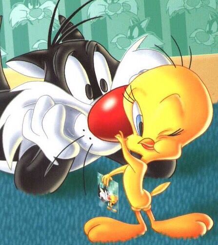 Sylvester And Tweety, Tweety Bird Quotes, Tweety Pie, Looney Tunes Wallpaper, Old Cartoon Characters, Sylvester The Cat, Elmer Fudd, Bird Quotes, Old School Cartoons