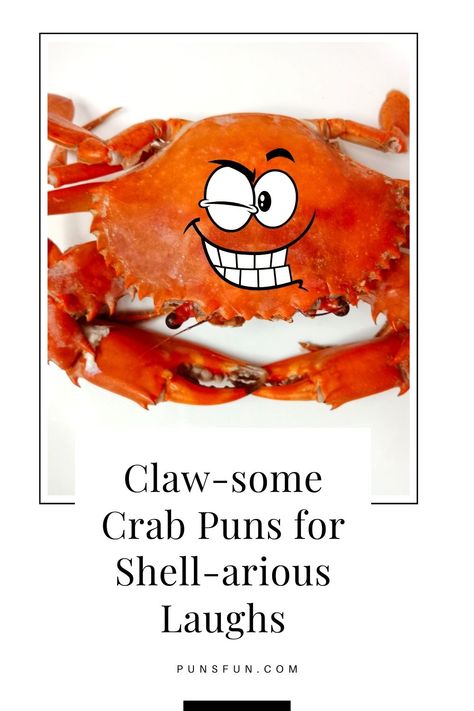 Visit Website Crab Sayings Funny, Crab Puns, Summer Puns, Beach Puns, Library Quotes, Princess Cruise, Play On Words, Hermit Crab, Hilarious Memes