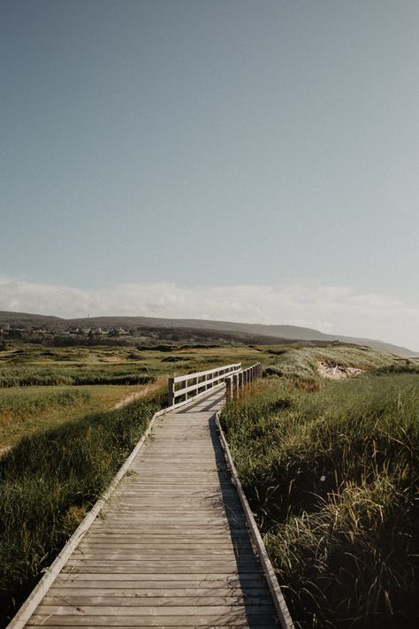 Cape Breton Aesthetic, Nova Scotia Aesthetic, Shay Core, Seaweed Painting, Nova Scotia Landscape, Maritime Aesthetic, Nova Scotia Travel, Cape Breton Nova Scotia, Places To Visit In Canada