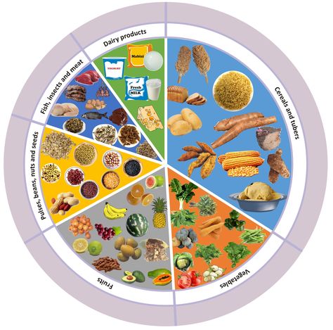 Situation Analysis, Hygienic Food, Food Basket, Food Groups, Food Science, Sustainable Food, Group Meals, Good Mental Health, Health Challenge