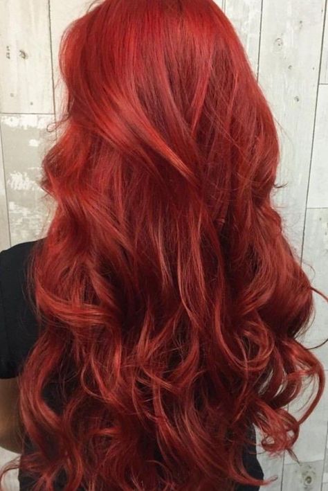 Bright Copper Hair With Money Piece, Flame Red Hair Color, Dark Red Orange Hair, Warm Red Hair Color, Orange And Red Hair, Flame Red Hair, Flaming Red Hair, Strawberry Hair Color, Orange Red Hair