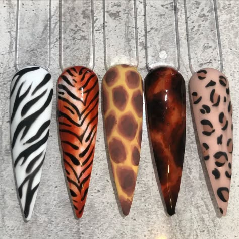 Zebra Leopard Nails, Animals Nail Art, Nail Art Animal Print, Nails Zebra Print, Print Nails Design, Tortoise Print, Animal Print Nail Art, Animal Print Acrylic Nails, Print Nails