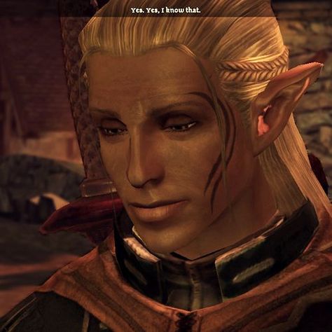 Dragon Age Zevran, Zevran Arainai, Dragon Age Solas, Dragon Age Romance, Don't Disturb, Dragon Age Characters, Grey Warden, Dragon Age Games, Dragon Age Series