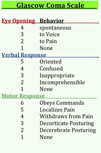 Nremt Study Cheat Sheets, Patient Assessment Emt Cheat Sheets, Emt Cheat Sheets, Glasgow Scale, Gcs Score, Emt Study Cheat Sheets, Neuro Nursing, Emt Life, Emt Study