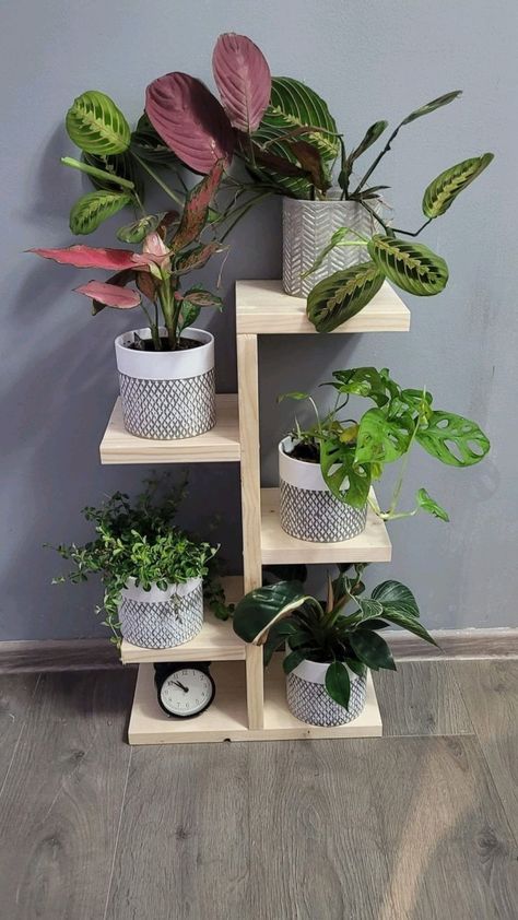 Indoor Ladder, Planter Shelves, Ladder Planter, Plant Pot Holder, Tall Plant, Support Pour Plante, Plant Pot Holders, Wooden Plant Stands, Plant Display