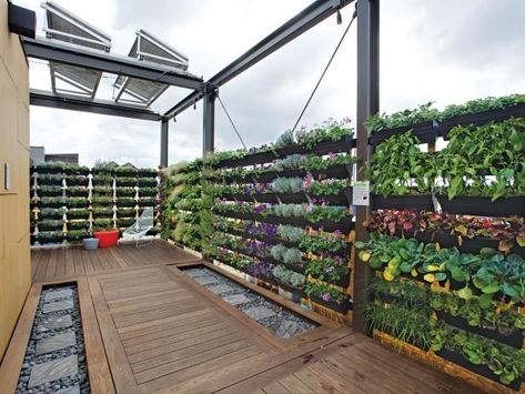 Rooftop Ideas, Roof Top Garden, Roof Garden Design, Rooftop Gardens, Buying House, Rooftop Terrace Design, Rooftop Design, Fence Landscaping, Terrace Design