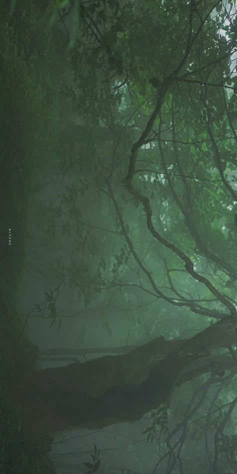 Macbook 13 Inch Wallpaper Aesthetic, Macbook 13 Inch Wallpaper, 13 Inch Wallpaper, Foggy Wallpaper, Foggy Forest Wallpaper, Easy Hair Drawings, Live Music Poster, Wallpaper Aesthetic Dark, Macbook 13 Inch