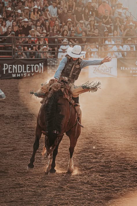 Guy riding a bucking horse at a rodeo Rodeo Aesthetic, Rodeo Photography, Rodeo Rider, Bronc Riding, Chestnut Springs, Elsie Silver, Cowboy Pictures, Rodeo Cowboys, Cowboy Romance