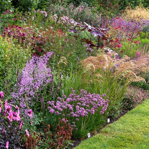 Boarder Plants, Cottage Garden Borders, English Landscape Garden, Garden Mood Board, Border Garden, Australian Native Garden, English Landscape, Growing Dahlias, Herbaceous Border