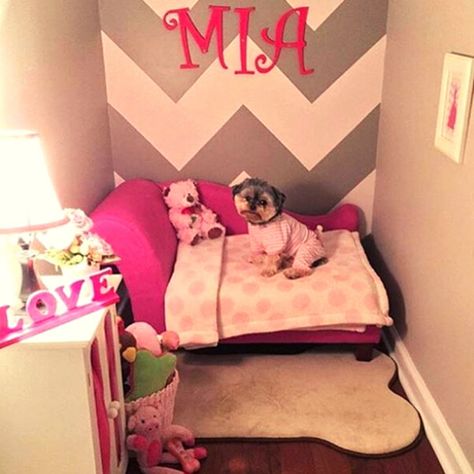 25 DIY Dog Room Decor Ideas | Social Doggy Club Dog Bedrooms, Dog Room Design, Dog Closet, Dog Room Decor, Dog Room Ideas, Dog Bedroom, Puppy Room, Indoor Dog House, Pet Room