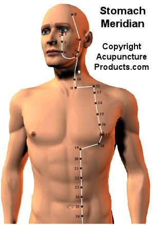 Stomach Meridian Pathway and Acupuncture Point Locations. Stomach Meridian, Meridian Acupuncture, Tcm Traditional Chinese Medicine, Acupuncture Point, Reflexology Massage, Energy Medicine, Acupuncture Points, Integrative Medicine, Qi Gong