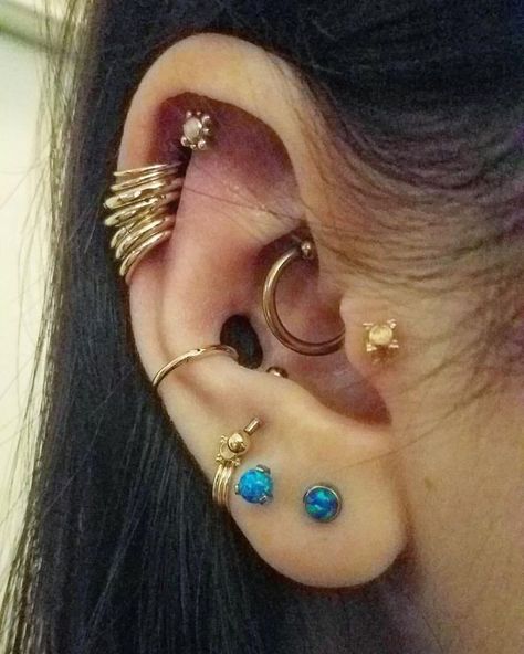 Ear Coin Slot, Conch Punch Piercing, Coin Slot Modification, Conch Punch, Daith And Conch Piercing, Coin Slot Piercing, Conch Ear Piercings, Ear Setup, Conch Ear Piercing