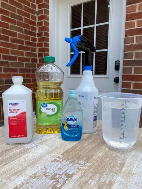 The Best DIY Homemade Bug Spray Recipe | Hometalk Bug Killer Homemade, Stink Bug Spray, Diy Bug Repellent Spray, Stink Bug Repellent, Natural Bug Killer, Homemade Bug Spray Recipe, Garden Bug Spray, Bug Spray For Plants, Homemade Insecticide