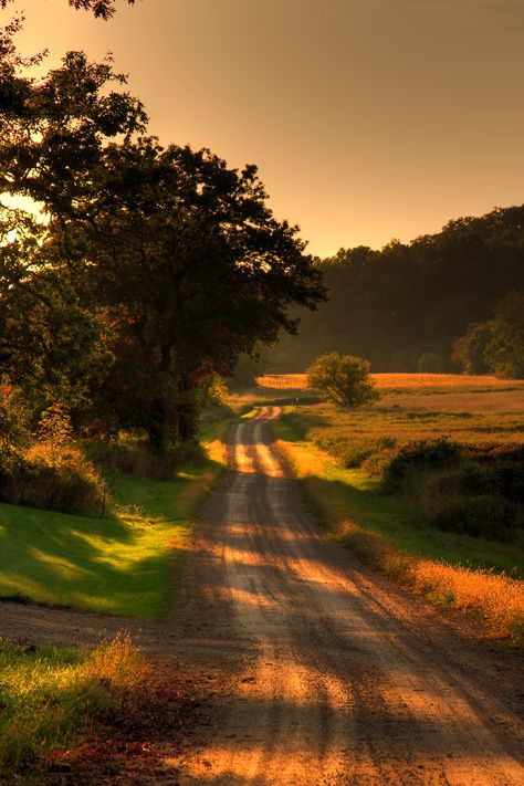 Photography Camera Settings, Tree Pictures, Country Photography, Country Roads Take Me Home, Red Dirt, Country Landscaping, Country Scenes, Pictures Photography, Beautiful Places Nature