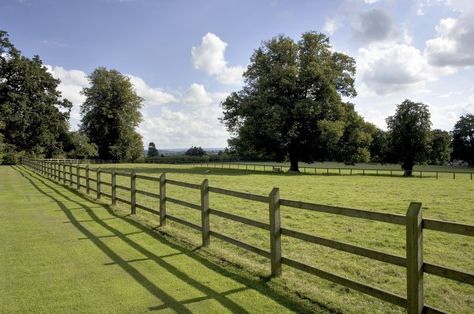 Post & Rail Fencing Stock Fencing, Drive Gates, Post And Rail Fence, New Garden Ideas, Fencing And Gates, Garden Orchard, Wire Mesh Fence, Stable Ideas, Timber Fencing