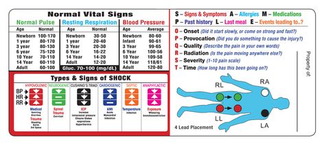 Nursing Medications, Vital Signs Chart, Emt Student, Normal Vital Signs, Emt Basic, Nursing Planner, Patient Assessment, Biology Ideas, Emt Study