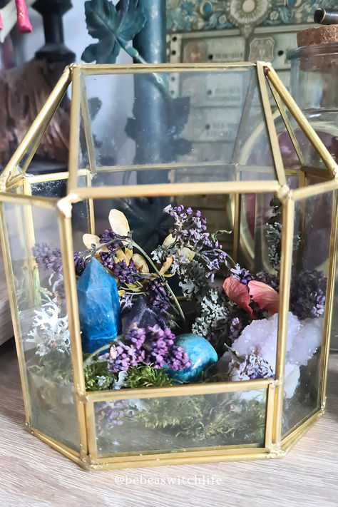 These glass containers can be found in thrift stores or at flea markets and are perfect to be the new home of your favorite crystals! 💙🩵💜 Dried Flowers, Moss, crystals and little treasures you found on your adventures in nature is all you need to turn them into an enchanted crystal terrarium that will make every home witchy! 🥰 Crystal Terrarium Diy, Crystal Terrarium, Crystal Beach, Crested Gecko, Crystal Display, Diy Project Ideas, Terrarium Diy, Garden Terrarium, Crafts Gifts