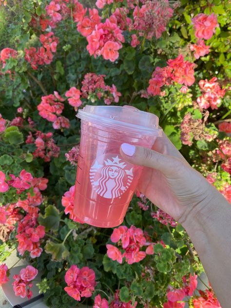 Starbucks Aesthetic Strawberry Acai, Starbucks Pink Aesthetic, Pink Refresher Starbucks, Starbucks Strawberry Acai Refresher Aesthetic, Strawberry Acai Refresher Aesthetic, Starbucks Refresher Aesthetic, Strawberry Refresher Aesthetic, Starbucks Refreshers Aesthetic, Aesthetic Starbucks Pictures