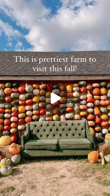 Pumpkin Farm Display, Pumpkin Patch Display Ideas, Fall Market Ideas, Pumpkin Farm Pictures, Pumpkin Patch Decorating Ideas, Corn Maze Aesthetic, Farm Market Display, Pumpkin Patch Decoration, Fall Festival Booth