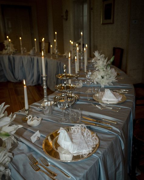 Silver chargerplate with swan napkins Swan Themed Wedding, Swan Lake Theme Party, Swan Theme Wedding, Swan Lake Wedding Theme, Swan Napkin Folding, Swan Centerpiece Ideas, Swan Wedding Theme, Silver Theme Party Decoration, Silver Table Decorations