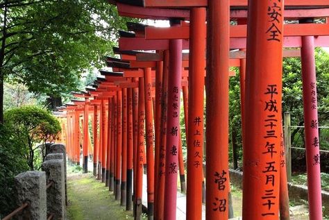 Ueno park is a very popular spot during the Sakura season for picnicking and enjoying the spring festivities. Find out the best things to do there with our top picks. #Ueno #UenoPark #Hanami #Sakura #CherryBlossom #Ameyoko #HanazonoShrine #ShinobazuPonnd #UenoZoo #Kappabashi #UenoStation #JRPass #JapanRailPass #Japan #JapanTravelTips Ueno Park Tokyo, Matcha Japan, Ueno Park, Visit Tokyo, Kyoto Travel, Travel Guide Book, Japan History, Japan Travel Guide, Unique Architecture