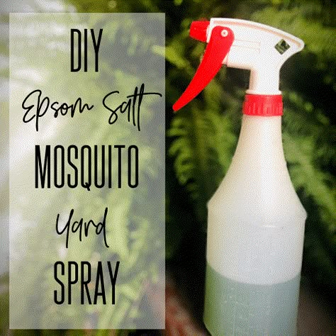 Epsom Salt Mosquito Spray Epsom Salt Diy, Natural Mosquito Spray, Homemade Mosquito Spray, Gnat Spray, Mosquito Yard Spray, Mosquito Repellent Candle, Mosquito Repellent Homemade, Diy Bug Repellent, Mosquito Repellent Spray