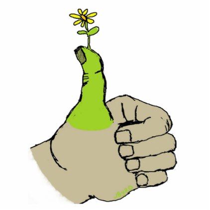 Gardener's Green Thumbs Up Cutout - gift idea custom Green Thumb Aesthetic, Green Thumb Humor, Golden Hands, Drawing Help, Simple Products, Green Thumb, Gifts Ideas, Home Gifts, Thumbs Up