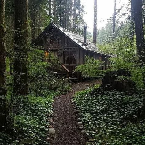 Houses In The Forest Aesthetic, Cabin In The Forest Aesthetic, Cottage In The Forest Aesthetic, Living In The Forest Aesthetic, Coffinwood Aesthetic, Small Forest Cottage, House In Forest Aesthetic, Dark Wood Cabin, House In The Forest Aesthetic