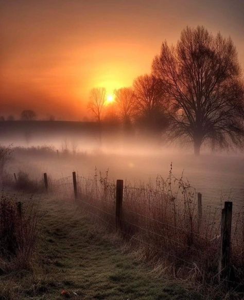 Misty Dawn, William Turner, Gorgeous Sunset, Autumn Painting, Natural Life, Nature Travel, Landscape Photos, Beautiful Photography, Sunrise Sunset