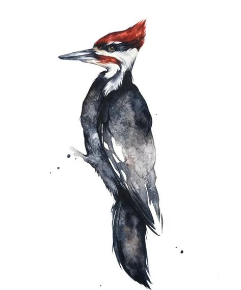 Woodpecker Tattoo, Woodpecker Watercolor, Woodpecker Art, It Painting, Pileated Woodpecker, Watercolor Palette, Watercolor Bird, Watercolor Cards, Cute Tattoos