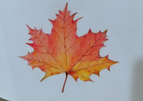 How To Color Fall Leaves With Colored Pencils, Colouring Leaves With Pencils, Leaf Drawing Realistic Colored Pencils, Fall Leaves Colored Pencil, Coloring Leaves With Prismacolor, Maple Leaf Colour Pencil Drawing, Leaf Drawing, Leaf Coloring, Colorful Drawings