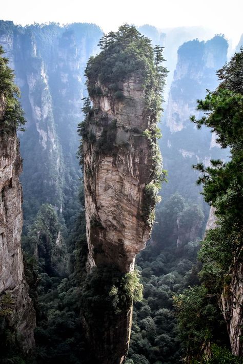 The Most Insane Otherworldly Landscapes You Have to See to Believe : The Down Lo Tulip Fields Netherlands, Tianzi Mountains, Zhangjiajie China, Zhangjiajie National Forest Park, Fingal's Cave, Zhangjiajie, Dunhuang, Foreign Travel, Kunming