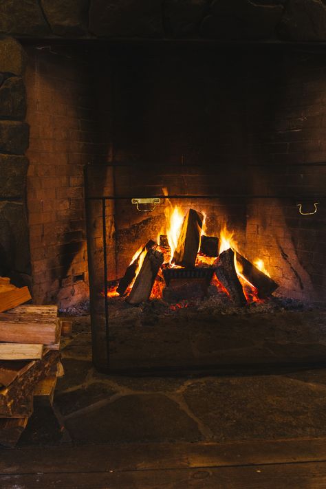 Cabin Romance Aesthetic, Cabin In The Woods Aesthetic Dark, Old Cabin In The Woods Aesthetic, Winter Cabin In The Woods Aesthetic, Film Analysis, Santa Cruz Redwoods, Redwood Forest Wedding, Camp Fires, Ideal Aesthetic