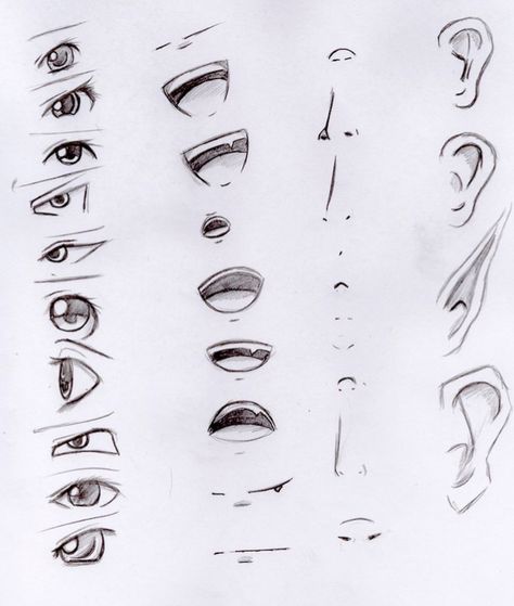 Manga Nose, Mata Manga, Rose Anime, Anime Nose, Anime Mouths, Anime Face Drawing, Bahasa Jepun, Mouth Drawing, Drawing Eyes