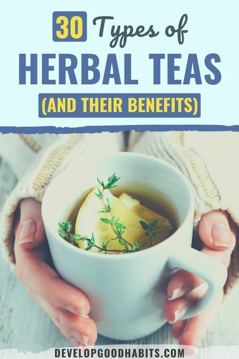 Teas And Their Benefits, Tea Benefits Chart, Tea Facts, Tea Blends Recipes, Herbal Tea Garden, Lemonade Diet, Herbal Tea Benefits, Best Herbal Tea, Medicinal Tea