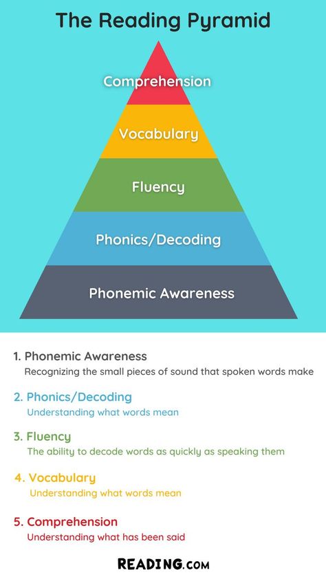 1. Phonemic Awareness 2. Phonics/Decoding 3. Fluency 4. Vocabulary 5. Comprehension Reading Intervention Classroom, Reading Interventionist, Intervention Classroom, Substitute Teaching, English Phrases Idioms, Reading Specialist, Phonics Lessons, Learning Support, Middle School Reading