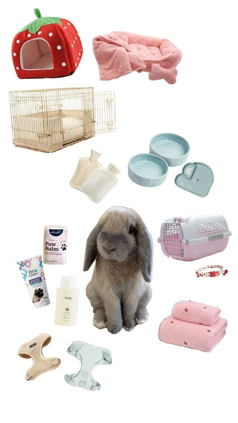 Pet Bunny House, How To Bun, Bunny Setup, Diy Bunny Cage, Bunny Care Tips, Funny Bunny Videos, Bunny Things, Pet Rabbit Care, Bunny Cage