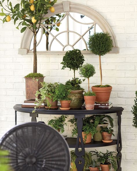 Patio Centerpiece Ideas, Outdoor Table Centerpieces Patio, Balustrade Outdoor, Outdoor Table Centerpieces, Paloma Contreras, Tattoo Plant, Garden Sanctuary, Rabbit Houses, Outdoor Console Table