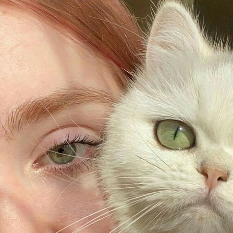 Beautiful Eyes Color, Aesthetic Eyes, Cat Aesthetic, Pretty Eyes, Eye Art, Pretty Cats, Green Aesthetic, Girly Photography, Beautiful Eyes