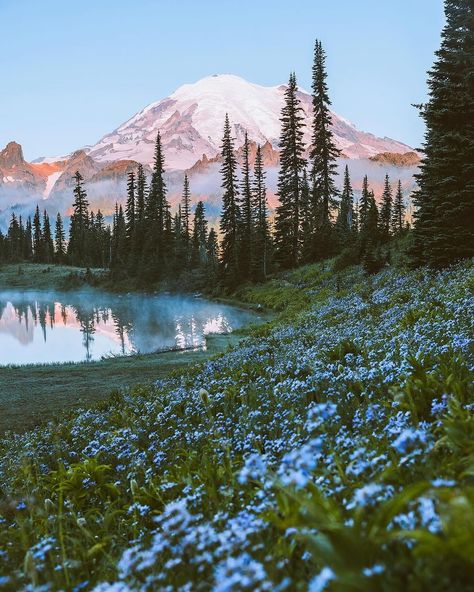 Wildflowers in the west coast. 🪻🌷🌸 Photos by @jhamilbader #takemoreadventures #washington #oregon #nationalpark #pnw #wilderness #adventure #mountains #outdoors #earthfocus #lake #hikingadventures #stayandwander #beautifuldestinations Pnw Aesthetic, More Adventures, Lake Photography, West Coast Road Trip, Mountain Photos, Up Book, Twin Peaks, Beautiful Lakes, Nature Aesthetic