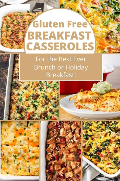 an assortment of breakfast casseroles gluten free Egg Recipes Gluten Free, Glutton Free Breakfast Ideas, Savory Breakfast Ideas Gluten Free, Aip Breakfast Casserole, Easy Breakfast Ideas Gluten Free, Gluten Free Brunch Casserole, Dairy And Gluten Free Breakfast, Casserole Recipes With Hashbrowns, Gluten Free Egg Casserole