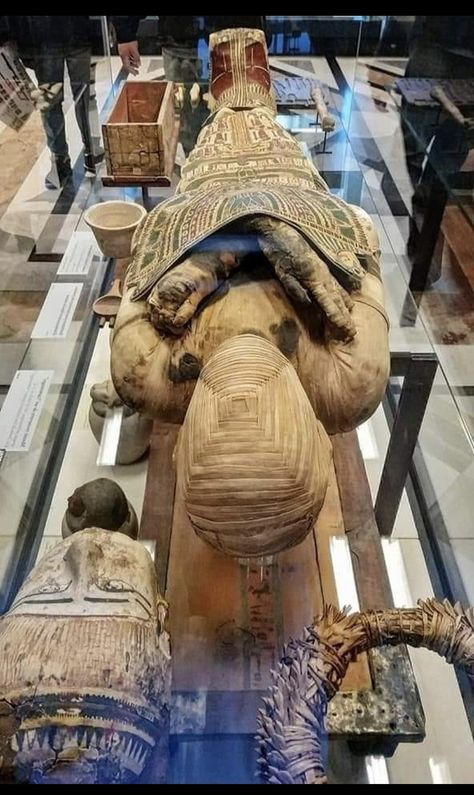 #pharaonices Ancient Egypt Mummies, Mummy Museum, No Technology, Egyptian Man, Egypt Mummy, Egyptian Mummies, The Mummy, Egyptian Culture, Louvre Museum