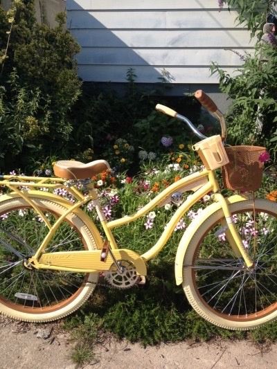 ✿Floralls✿ — oatbee: I’m in love with this bike 🚲💚 @pohaberry Bike Aesthetic Vintage, Alyssa Core Aesthetic, Paige + Core + Aesthetic, Grace + Core + Aesthetic, Bicycle Aesthetic, Beach Mountain, Bike With Basket, Bike Aesthetic, Velo Vintage