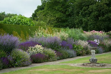 Mixed herbaceous border | Mixed herbaceous border containing… | Flickr Salvia Nemorosa, Vegetable Garden Planning, Herbaceous Border, Garden Border, Purple Garden, Garden Design Plans, Mediterranean Garden, Garden Landscape Design, Garden Borders