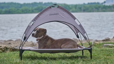 Dog Bed With Canopy, Dog Canopy Bed, Bed With Canopy, Extra Large Dog Bed, Sun Bed, Dog Cots, Bed For Dogs, Shade Tent, Elevated Dog Bed