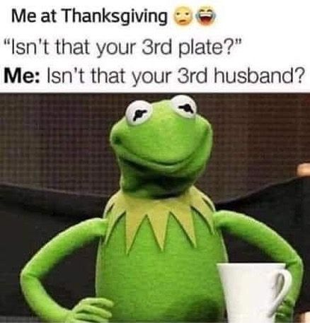 Funny Thanksgiving Memes, Funny Thanksgiving, The Frog, Family Members, Funny Memes, Thanksgiving, Memes, Funny